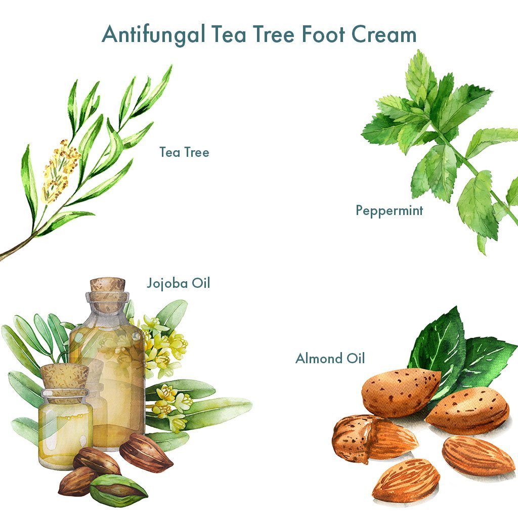 Anti-Fungal-Tea-Tree-Foot-Cream