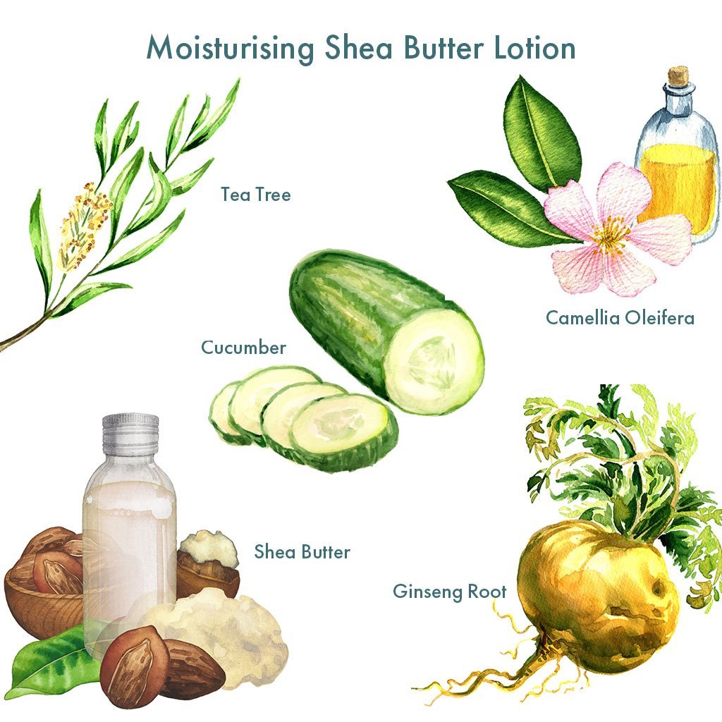 Moisturising-Shea-Butter-Lotion
