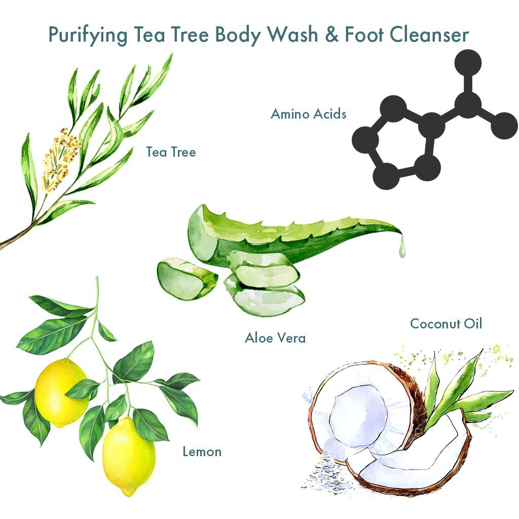 Purifying-Tea-Tree-Body-Wash-Foot-Cleanser