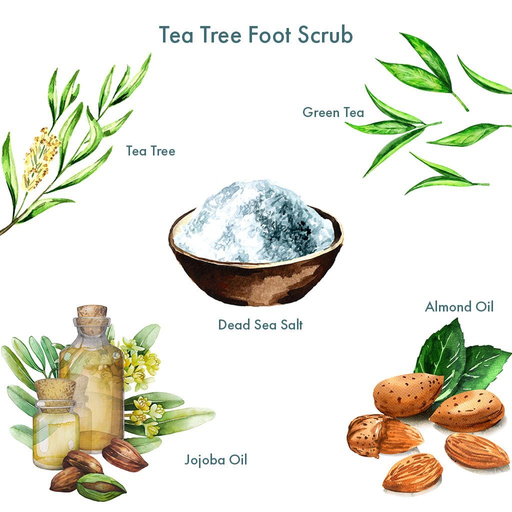 Tea-Tree-Foot-Scrub