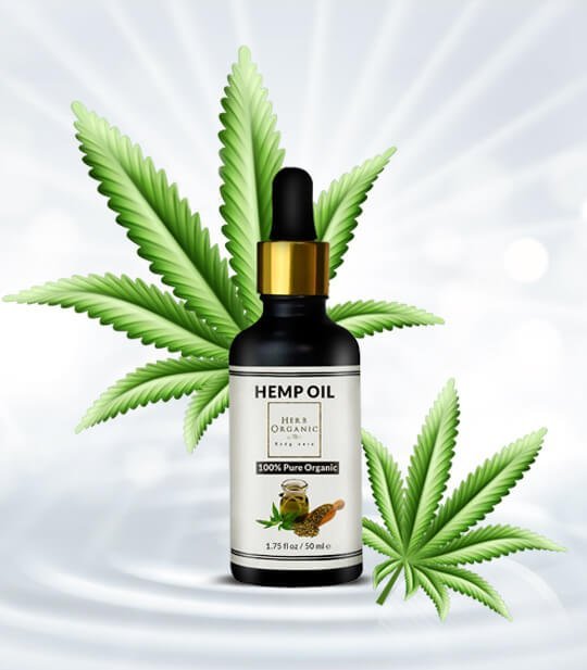 Hekz Traders FZE Food Banner